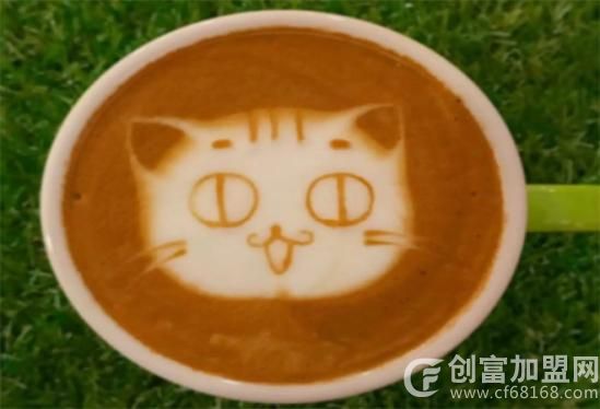 茶猫奶茶