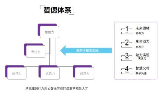 哲偲国际